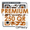 PREMIUM 250 QR codes Per Jaar